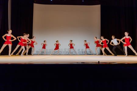 Območna revija plesnih skupin Finesa plesa 2023 (29)